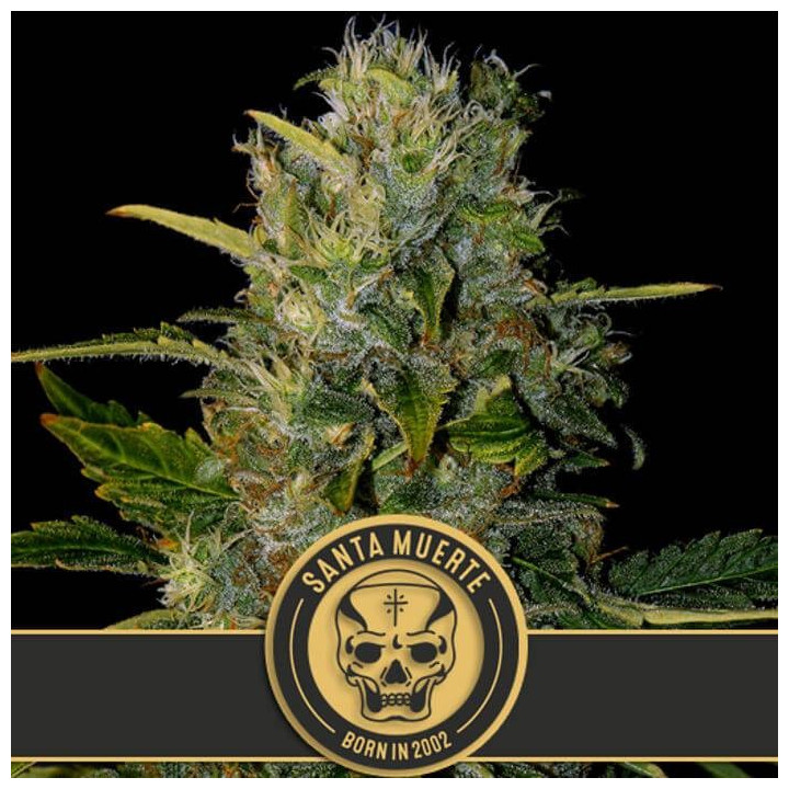 Santa Muerte