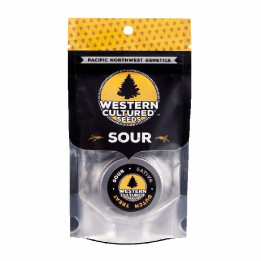 Dutch Treat (Western Cultured)