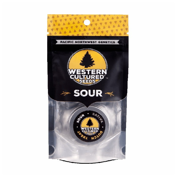 Dutch Treat (Western Cultured)