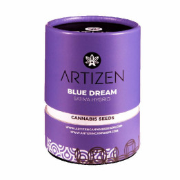 Blue Dream (Artizen)