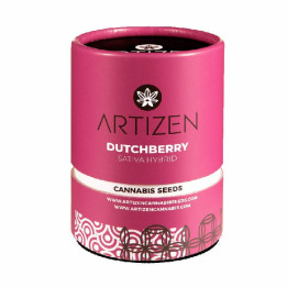 Dutchberry (Artizen)