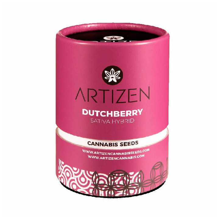 Dutchberry (Artizen)