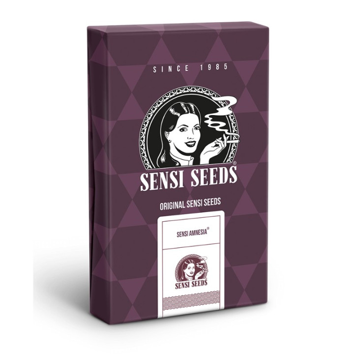 Sensi Amnesia (Sensi Seeds)