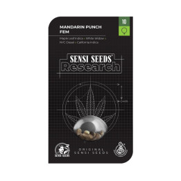 Mandarin Punch Auto (Sensi Seeds)