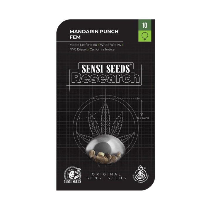Mandarin Punch Auto (Sensi Seeds)