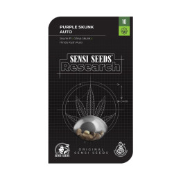 Purple Skunk Auto (Sensi Seeds Research)