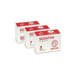 Sedativa Auto CBDV (Elite Seeds)