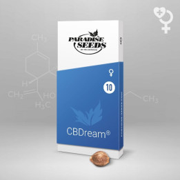 CBDcream (Paradise Seeds)