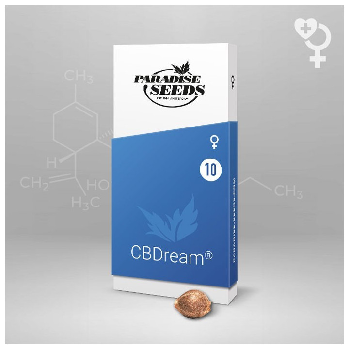 CBDcream (Paradise Seeds)