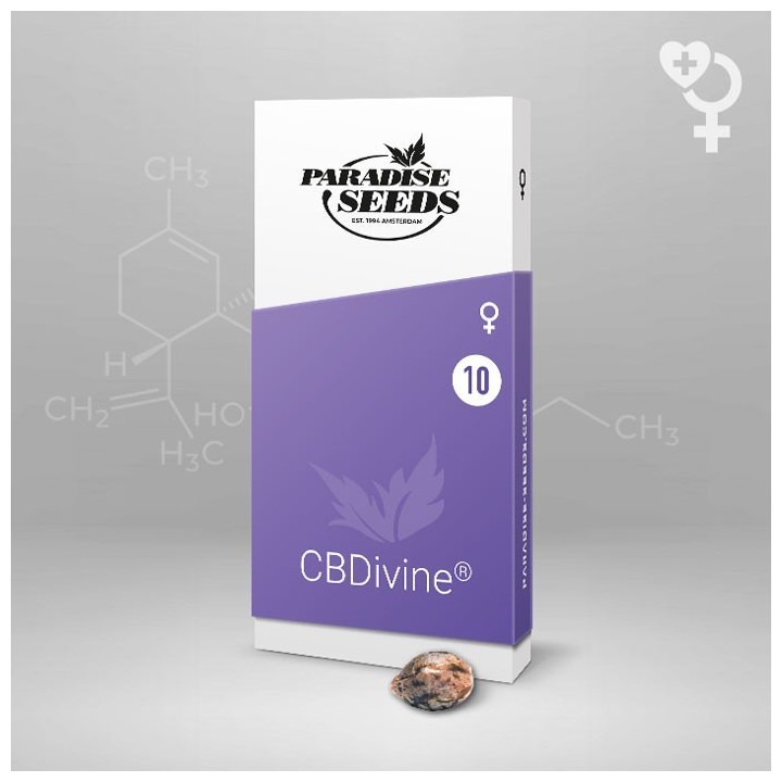CBDivine (Paradise Seeds)