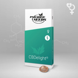 CBDelight (Paradise Seeds)