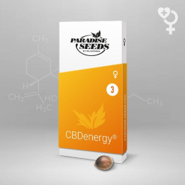 CBDenergy (Paradise Seeds)