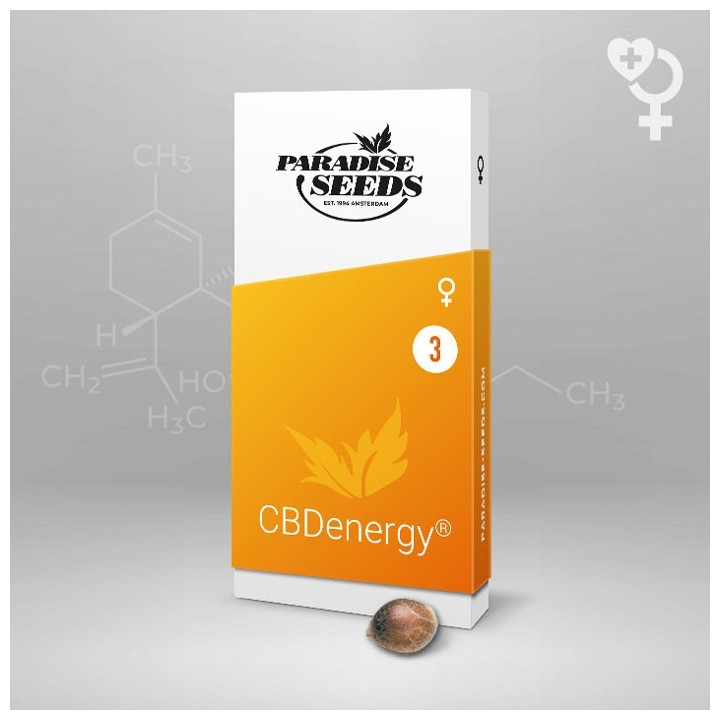 CBDenergy (Paradise Seeds)