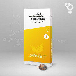 CBDrelief (Paradise Seeds)