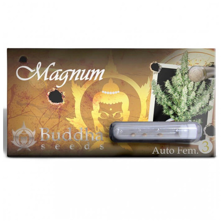 Buddha Magnum Auto (Buddha Seeds)