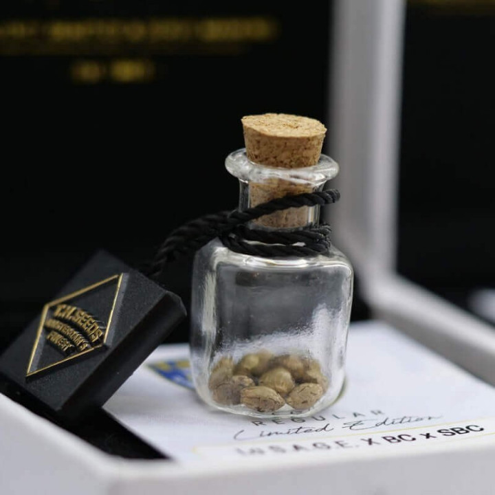 LA S.A.G.E. Cake regular (TH Seeds)