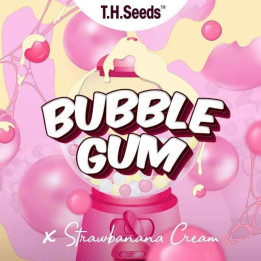Og Blubblegum x SBC regular (TH Seeds)