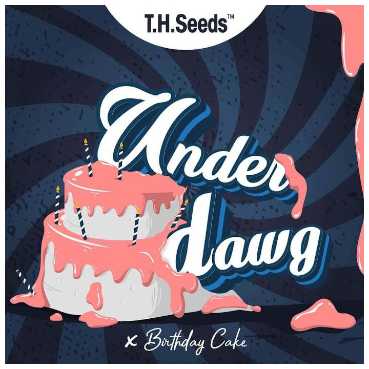 Underdawg Cake Regular (TH Seeds)