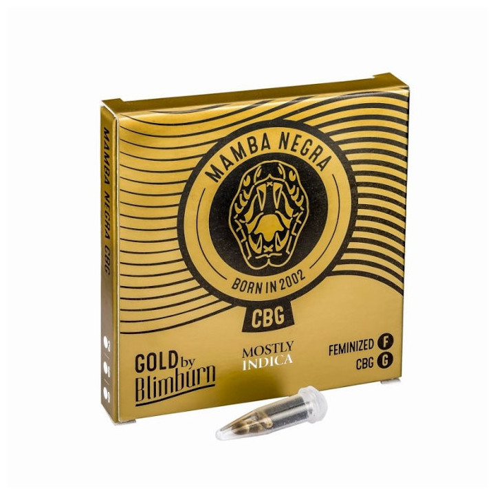 Mamba Negra CBG (Blimburn Seeds)
