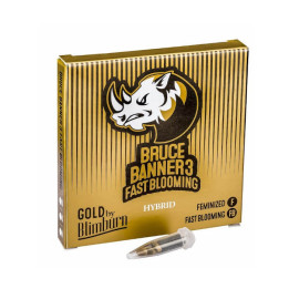 Bruce Banner Nº3 FBV Fast version (Blimburn Seeds)