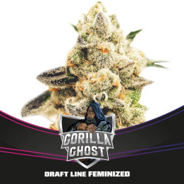 Gorilla Ghost