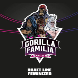 Gorilla Familia (BSF Seeds)
