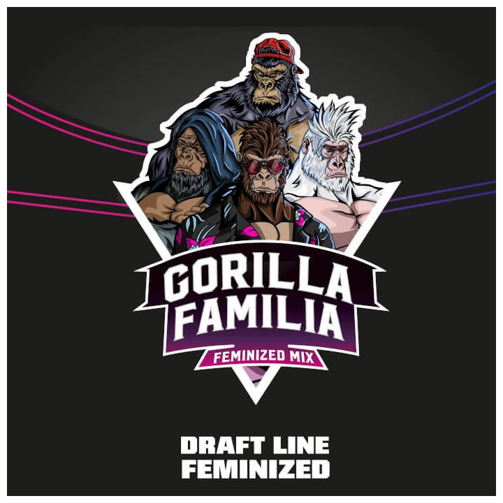 Gorilla Familia (BSF Seeds)