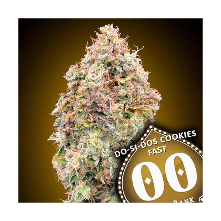 Do-Si-Dos Cookies Fast - 00 Seeds