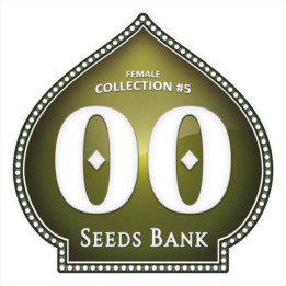 Female Collection 5 - 00 Seeds