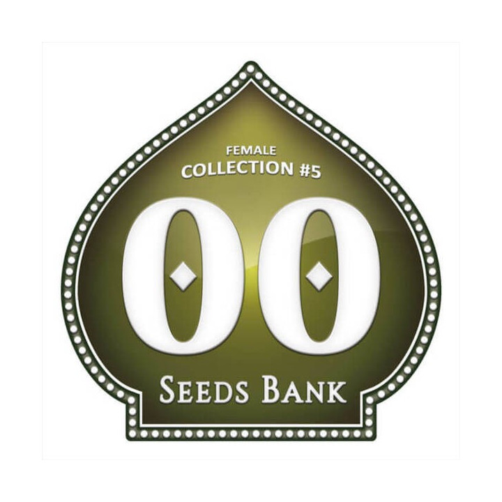 Female Collection 5 - 00 Seeds