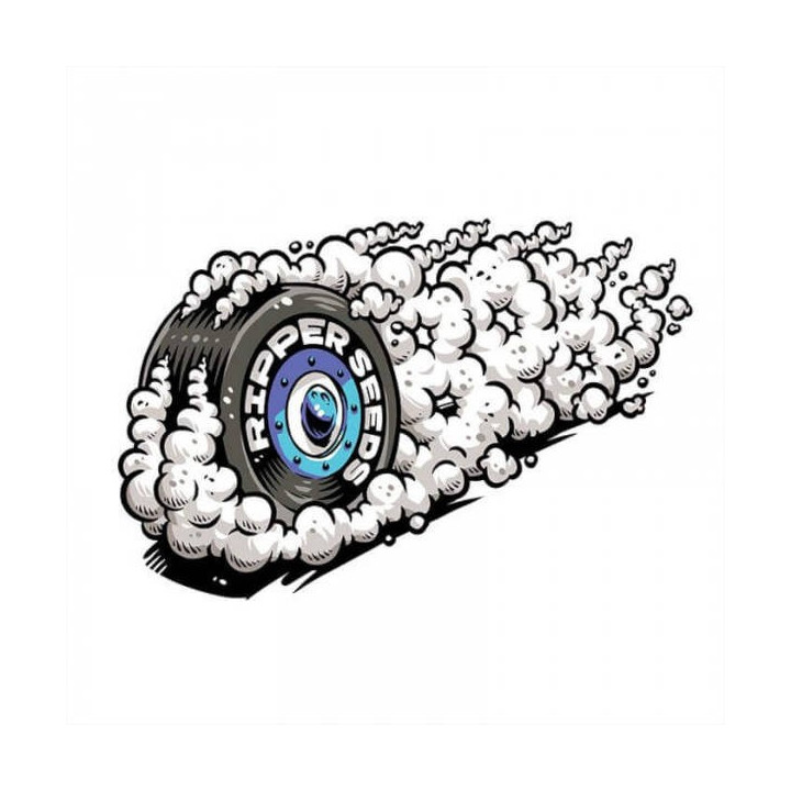 Semillas de marihuana feminizadas Break Pad Breath - Ripper Seeds 2