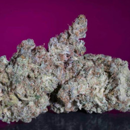 Semillas de Marihuana Feminizadas White Noise - Paradise Seeds