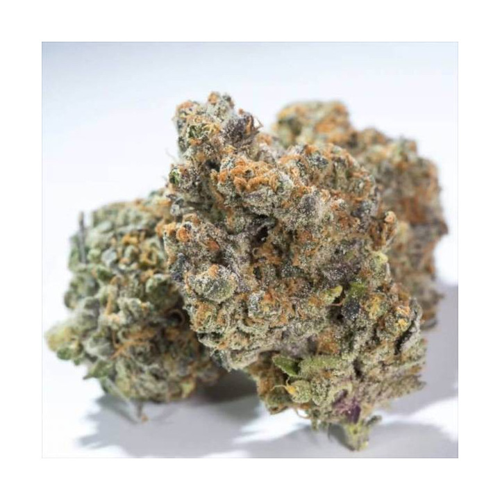 Semillas de Marihuana Feminizadas Glowstarz - Paradise Seeds 3