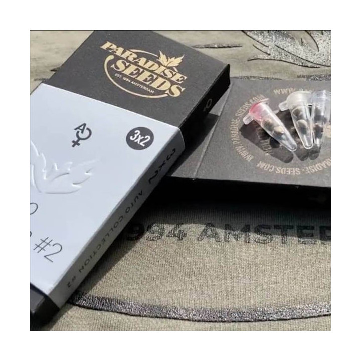 Semillas de Marihuana Autoflorecientes - Auto Collection Pack 2 - Paradise Seeds 2