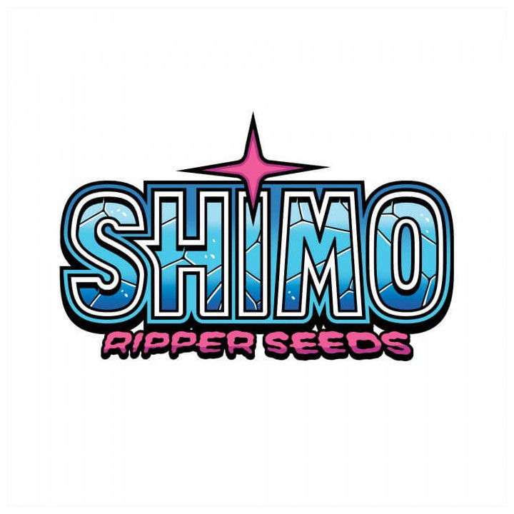 Logo Semillas Feminizadas Shimo de Ripper Seeds