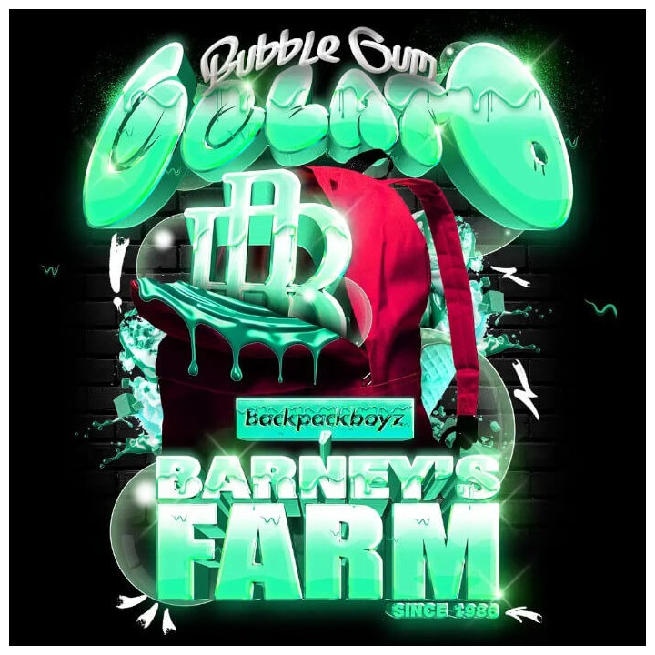 Semillas de marihuana feminizadas Bubblegum Gelato de Barney's Farm