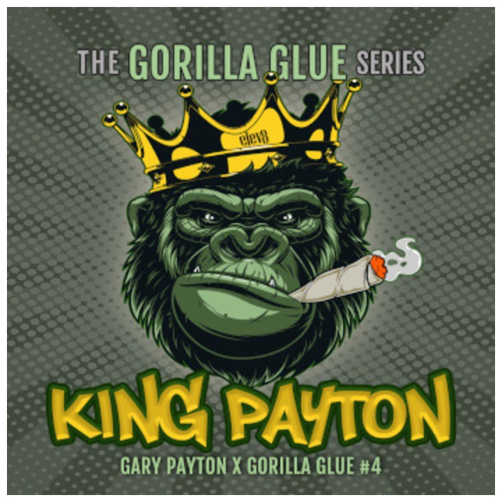 Semillas de marihuana feminizadas King Payton de Elev8
