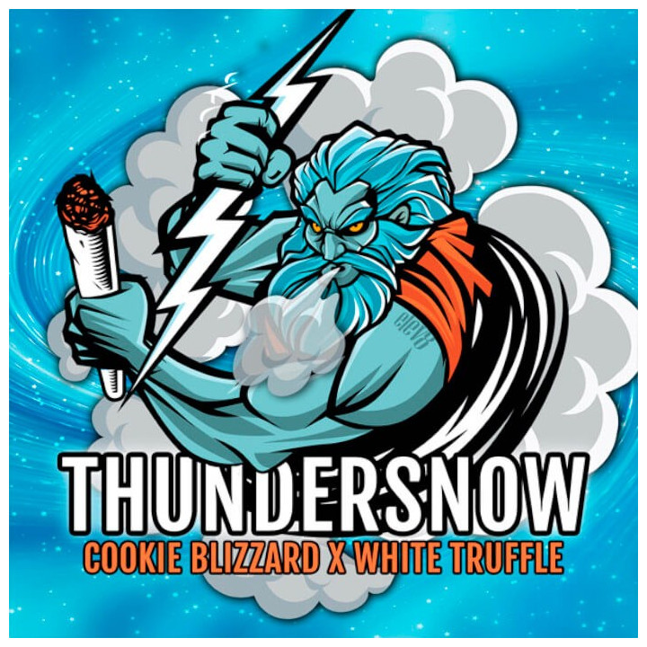Semillas de marihuana feminizadas Thundersnow de Elev8