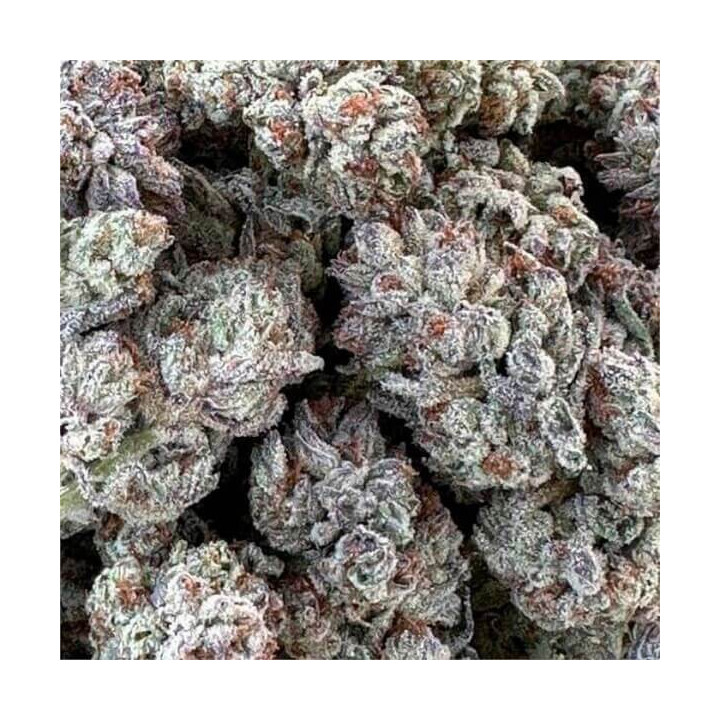 Semillas feminizadas de marihuana Double Fire Headband de Humboldt Seeds Organization