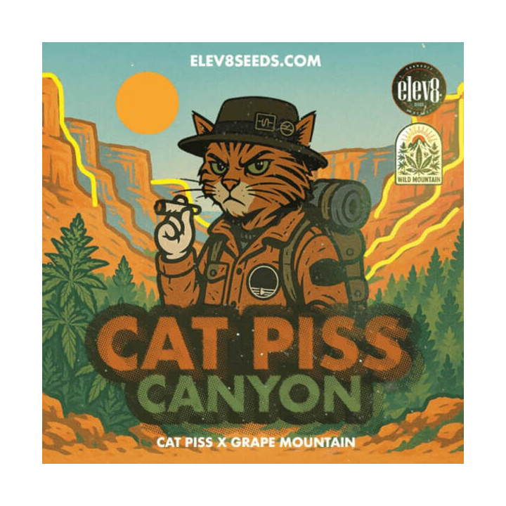 Elev8 Seeds Semillas de marihuana feminizadas Cat Piss Canyon