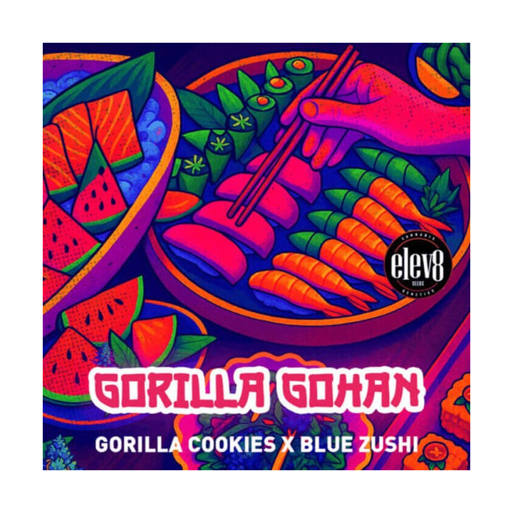 Elev8 Seeds Semillas de marihuana feminizadas Gorilla Gohan