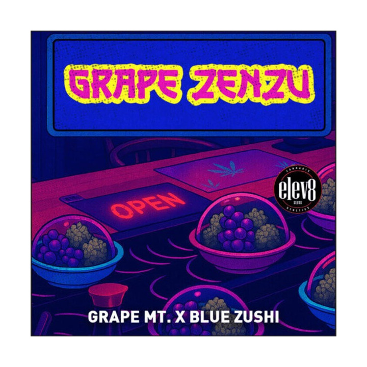 Elev8 Seeds Semillas de marihuana feminizadas Grape Zenzu