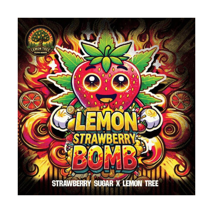 Elev8 Seeds Semillas de marihuana feminizadas Lemon Strawberry Bomb
