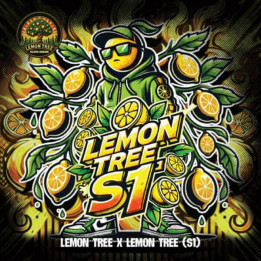Elev8 Seeds Semillas de marihuana feminizadas Lemon Tree S1