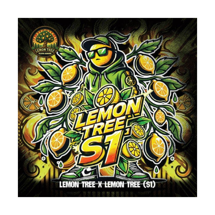 Elev8 Seeds Semillas de marihuana feminizadas Lemon Tree S1