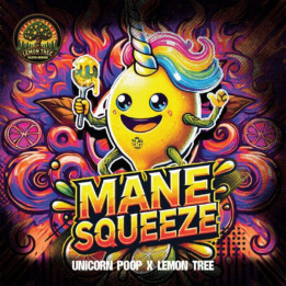 Elev8 Seeds Semillas de marihuana feminizadas Mane Squeeze