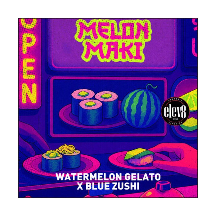 Elev8 Seeds Semillas de marihuana feminizadas Melon Maki