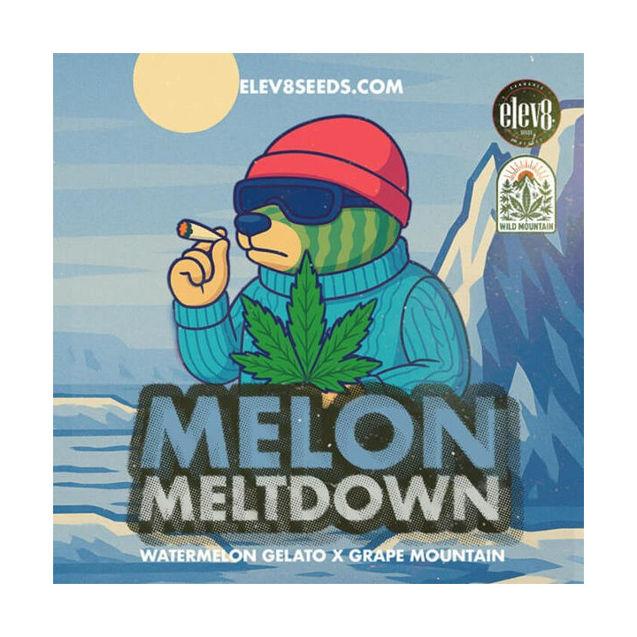 Elev8 Seeds Semillas de marihuana feminizadas Melon Meltdown