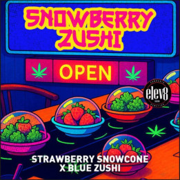 Elev8 Seeds Semillas de marihuana feminizadas Snowberry Zushi