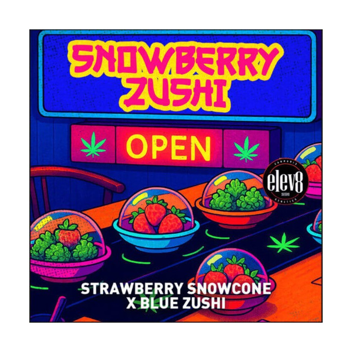 Elev8 Seeds Semillas de marihuana feminizadas Snowberry Zushi